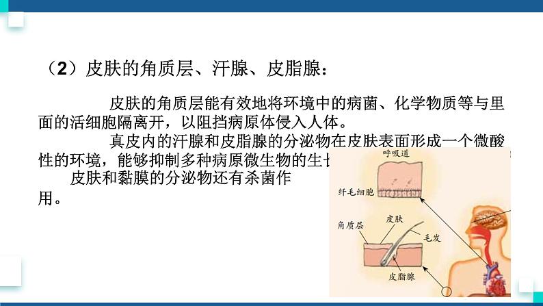 浙教版九下科学  3.3身体的防卫（课件+预习案+练习+视频）06