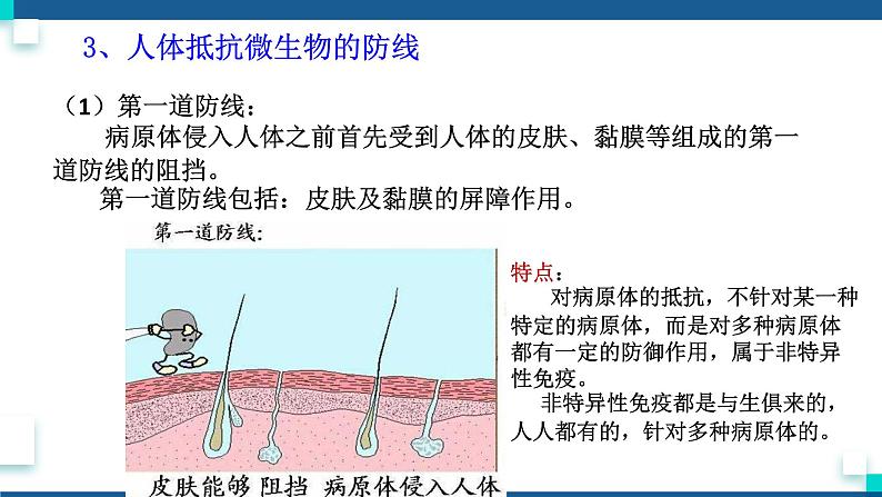 浙教版九下科学  3.3身体的防卫（课件+预习案+练习+视频）08