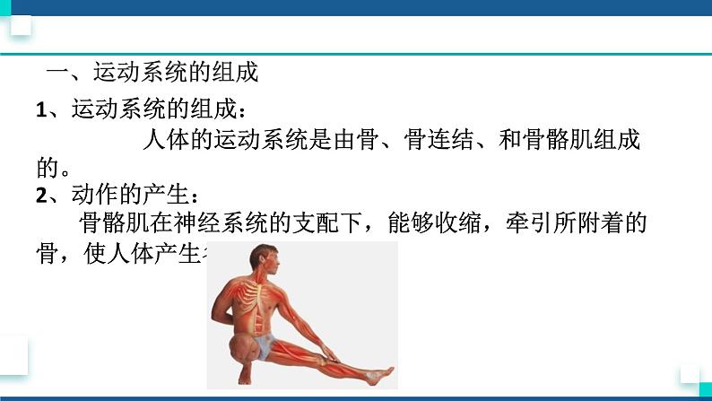 浙教版九下科学  3.5人的运动系统和保健 第1课时（课件+预习案+练习+视频）02