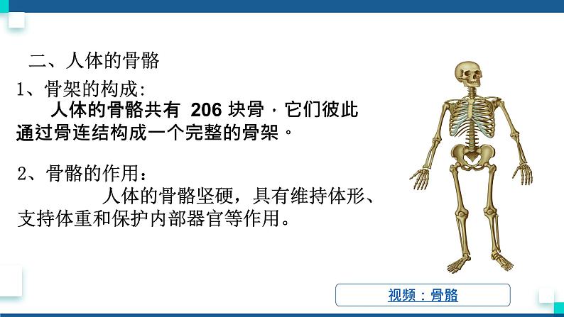 浙教版九下科学  3.5人的运动系统和保健 第1课时（课件+预习案+练习+视频）03