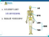 浙教版九下科学  3.5人的运动系统和保健 第1课时（课件+预习案+练习+视频）