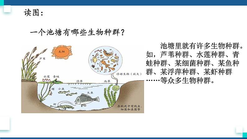 浙教版九下科学  2.3生物群落（课件+预习案+练习+视频）03
