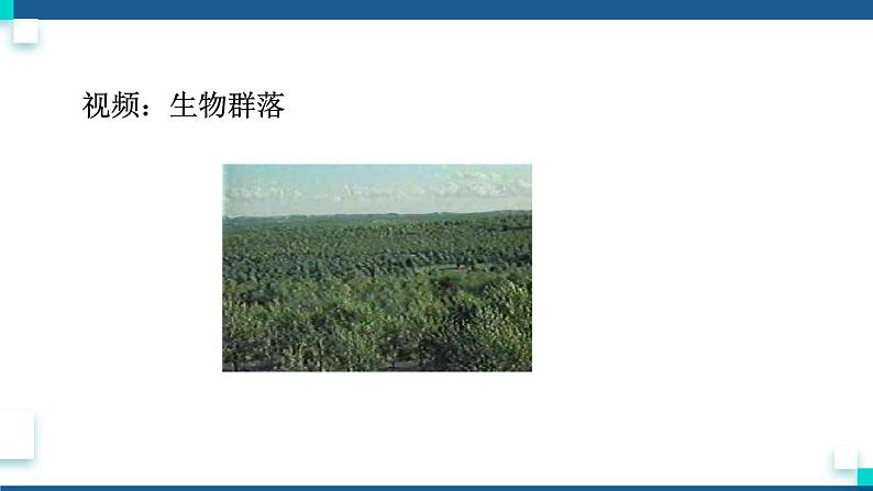 浙教版九下科学  2.3生物群落（课件+预习案+练习+视频）06