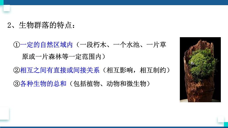 浙教版九下科学  2.3生物群落（课件+预习案+练习+视频）07