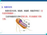 浙教版九下科学  3.2来自微生物的威胁 第1课时（课件+预习案+练习+视频）