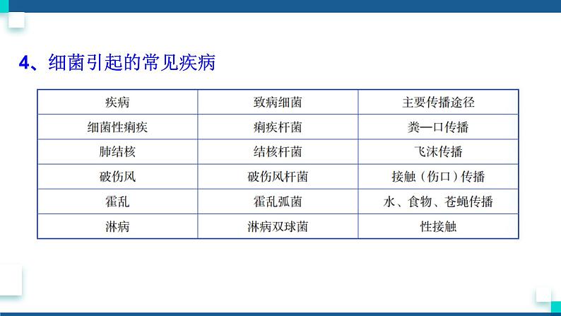 浙教版九下科学  3.2来自微生物的威胁 第1课时（课件+预习案+练习+视频）05