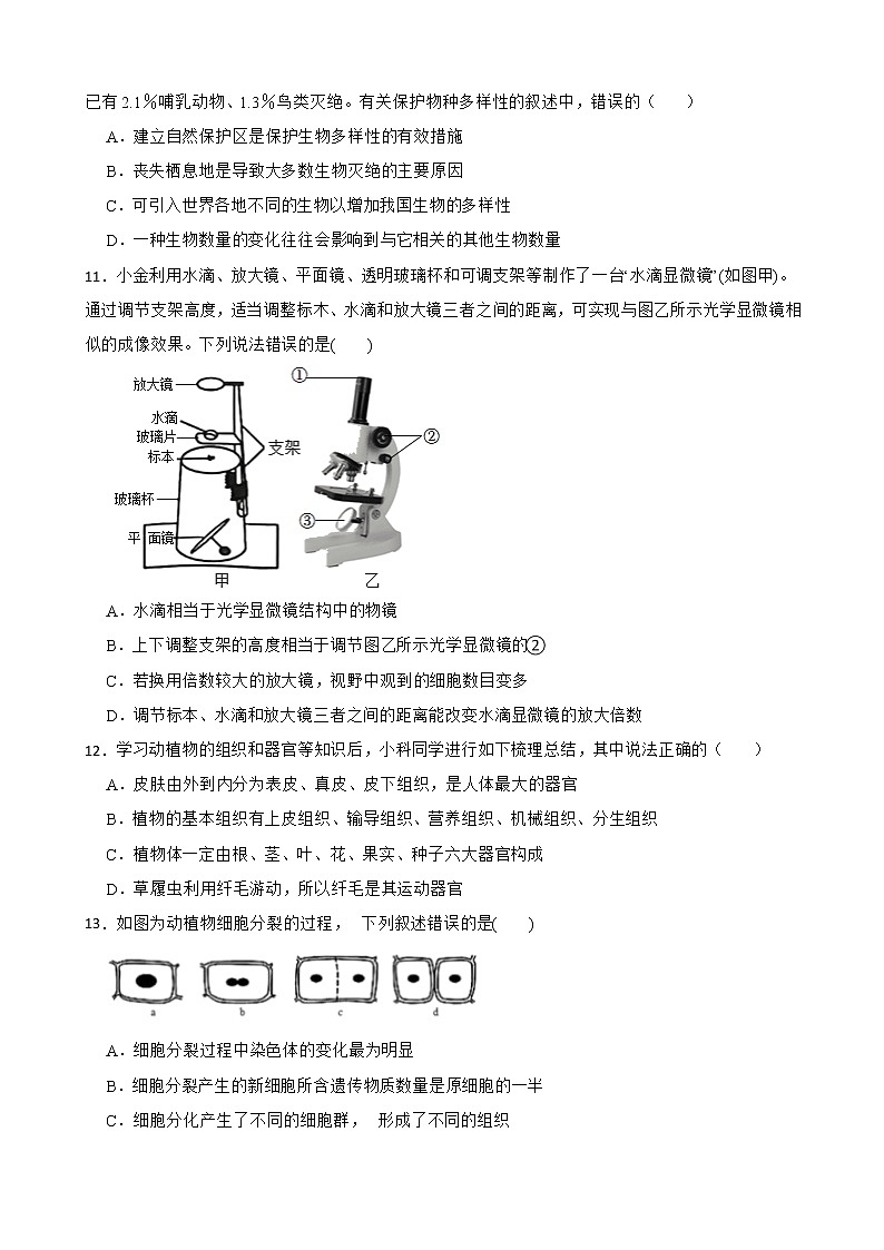 初中科学七年级上册华师大版期末复习必刷题 专题二 生物分类及结构层次第3页