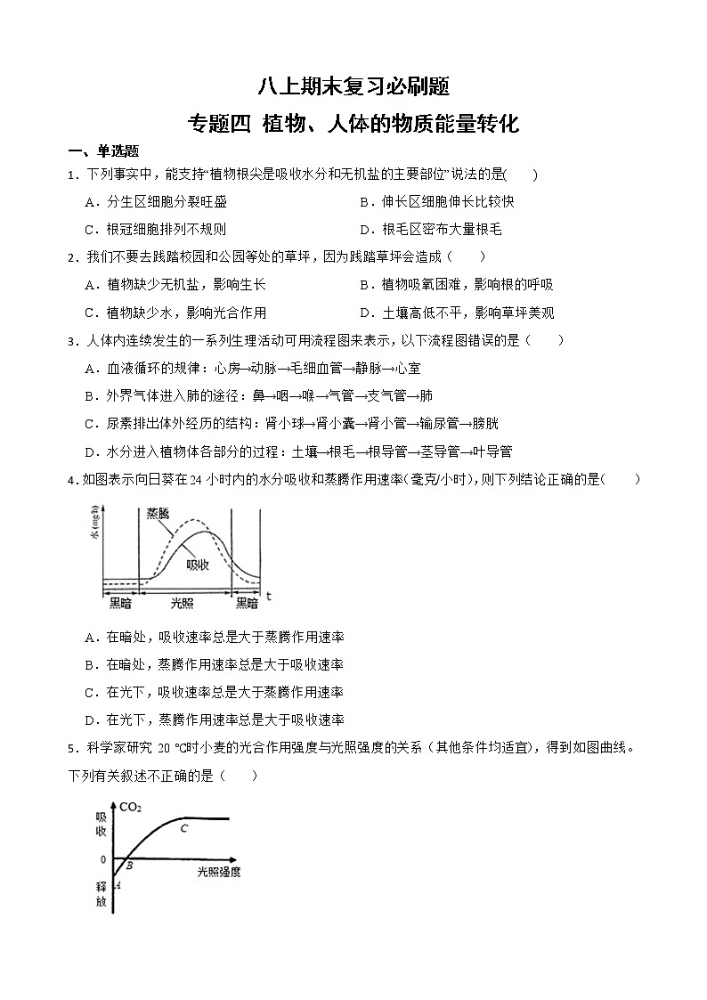 初中科学八年级上册华师大版期末复习必刷题 专题四 植物、人体的物质能量转化第1页