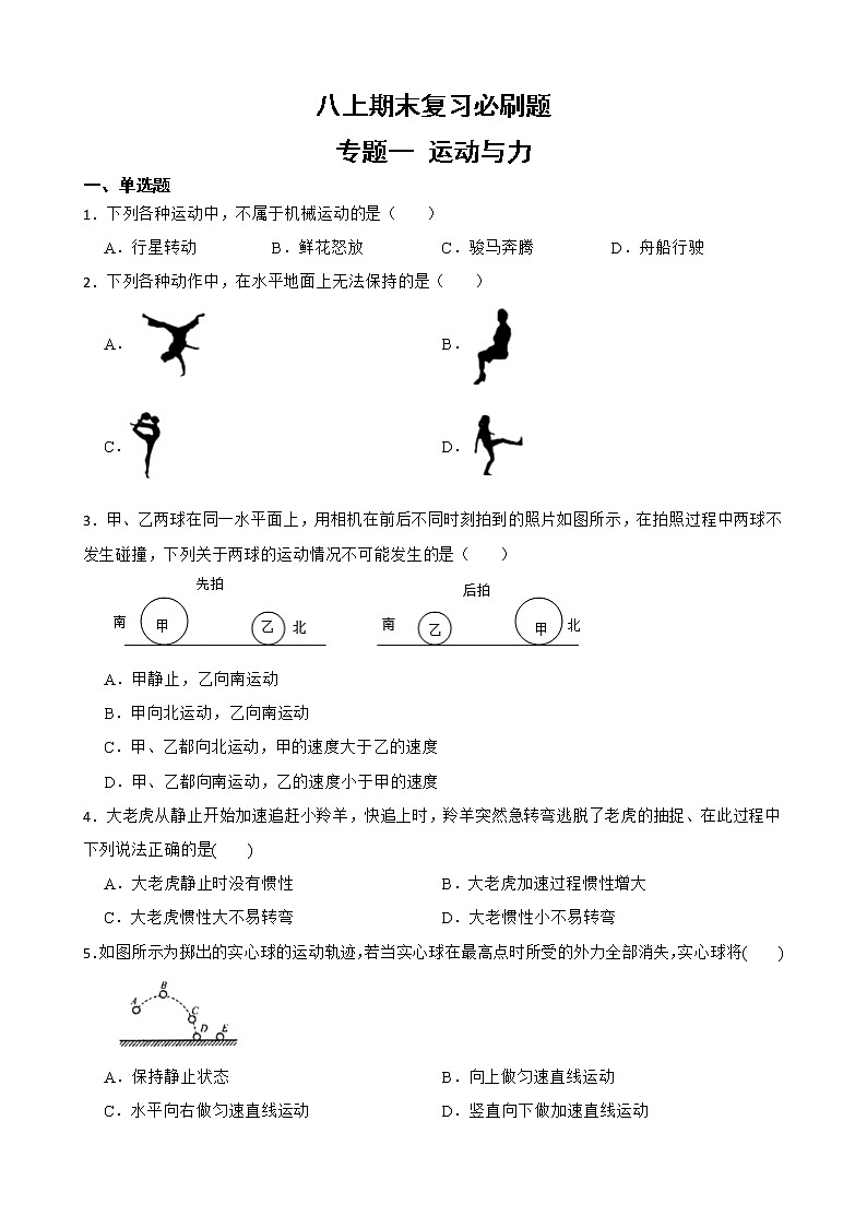 初中科学八年级上册华师大版期末复习必刷题 专题一 运动与力01