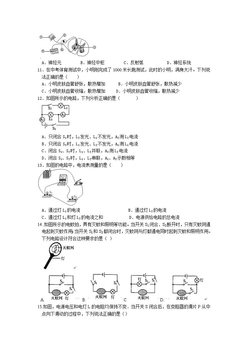 浙江省温州市平阳县2022-2023学年八年级上册第三次月考科学卷03