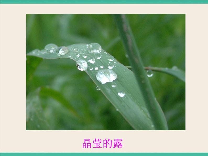 6.3.3自然界里的水循环-初中科学  牛津上海版  六年级下册课件第4页