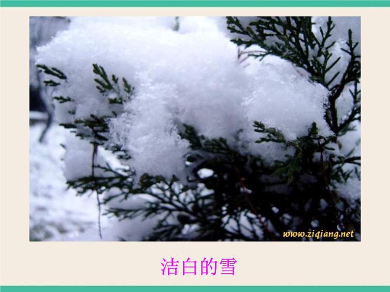 6.3.3自然界里的水循环-初中科学  牛津上海版  六年级下册课件第8页