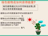7.3.1绿色植物如何获取能量-初中科学  牛津上海版  六年级下册课件