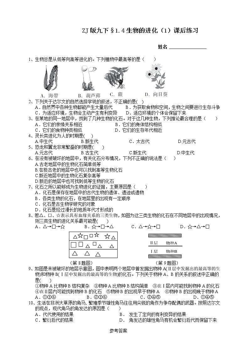 ZJ版九下科学1.4生物的进化 第1课时（课件+预习案+练习）01