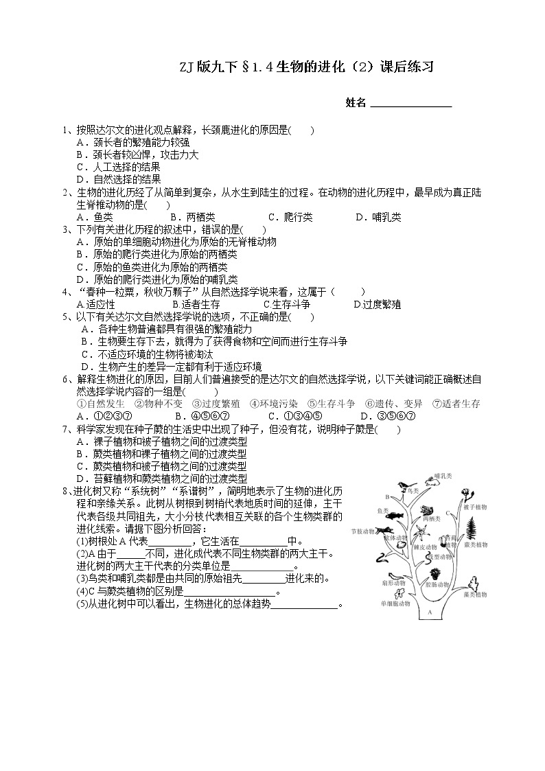 ZJ版九下科学1.4生物的进化 第2课时（课件+预习案+练习）01