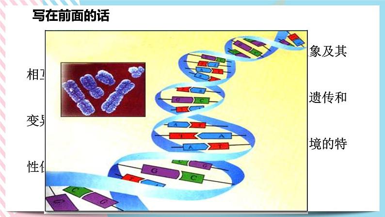 ZJ版九下科学1.5遗传与进化 第1课时（课件+预习案+练习）02