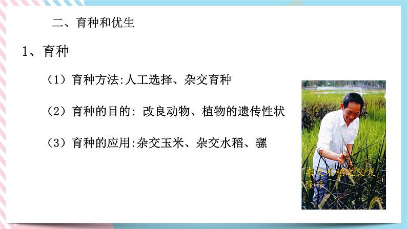 ZJ版九下科学1.5遗传与进化 第2课时（课件+预习案+练习）06