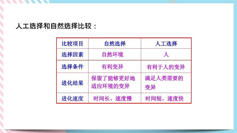 ZJ版九下科学1.5遗传与进化 第2课时（课件+预习案+练习）08