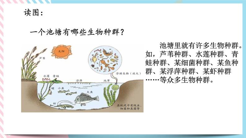 ZJ版九下科学2.3生物群落（课件+预习案+练习）03