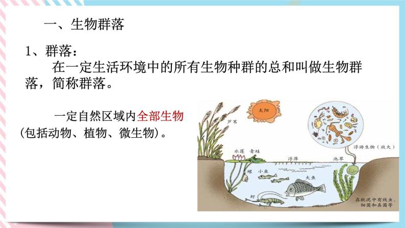 ZJ版九下科学2.3生物群落（课件+预习案+练习）05