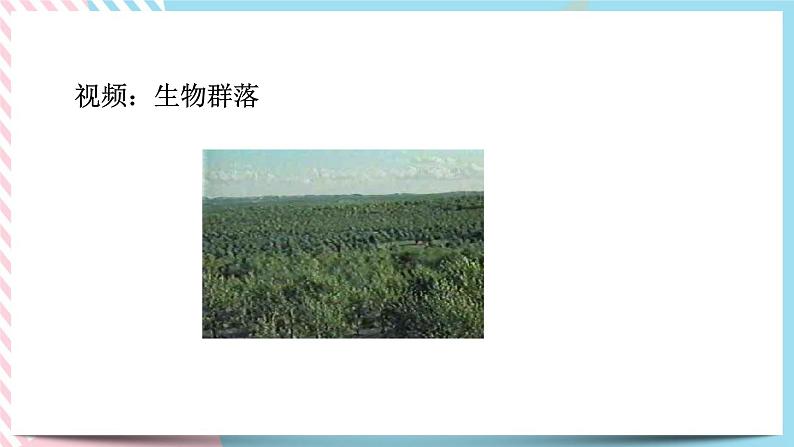 ZJ版九下科学2.3生物群落（课件+预习案+练习）06