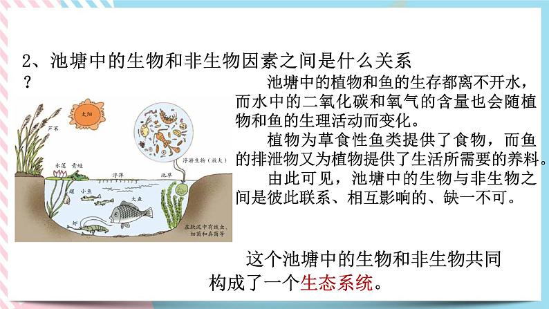 ZJ版九下科学2.4生态系统的结构和功能 第1课时（课件+预习案+练习）05