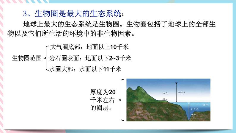 ZJ版九下科学2.4生态系统的结构和功能 第1课时（课件+预习案+练习）08
