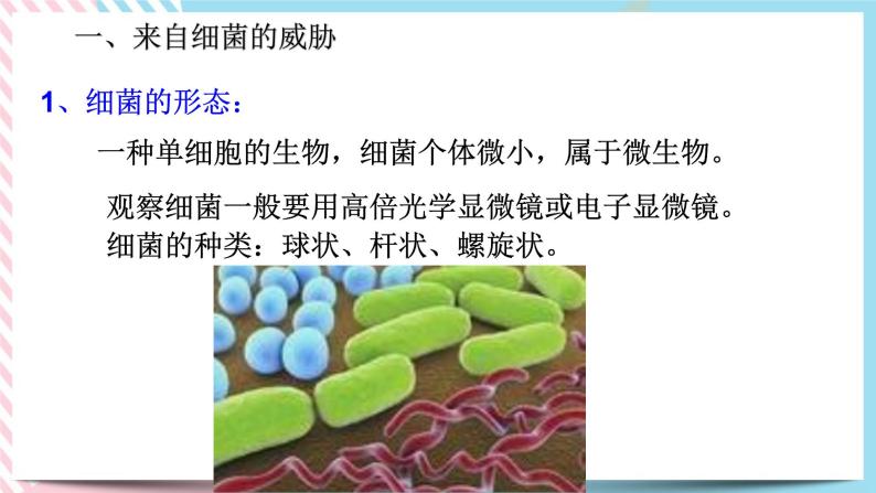 ZJ版九下科学3.2来自微生物的威胁 第1课时（课件+预习案+练习）02