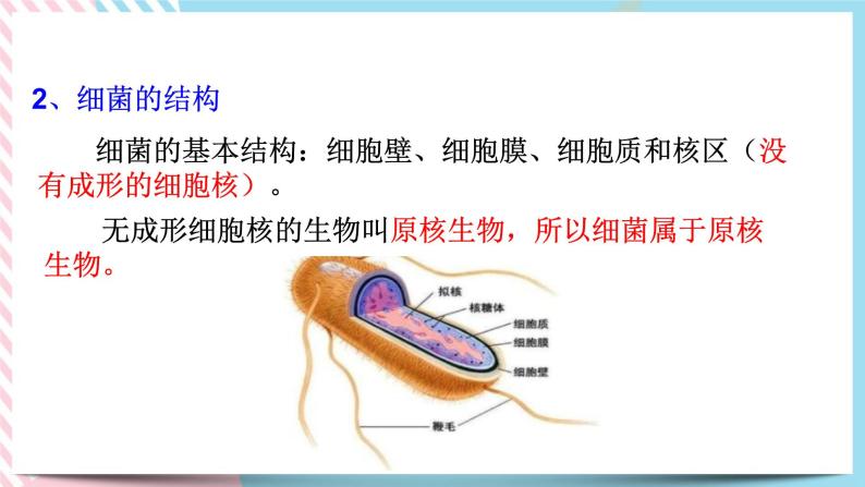 ZJ版九下科学3.2来自微生物的威胁 第1课时（课件+预习案+练习）03