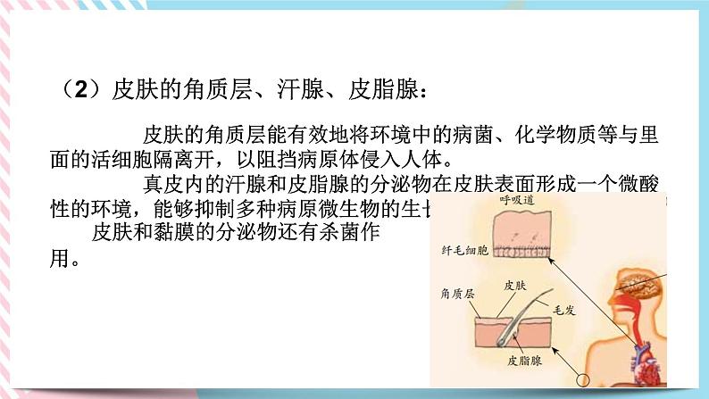 ZJ版九下科学3.3身体的防卫 第1课时（课件+预习案+练习）06