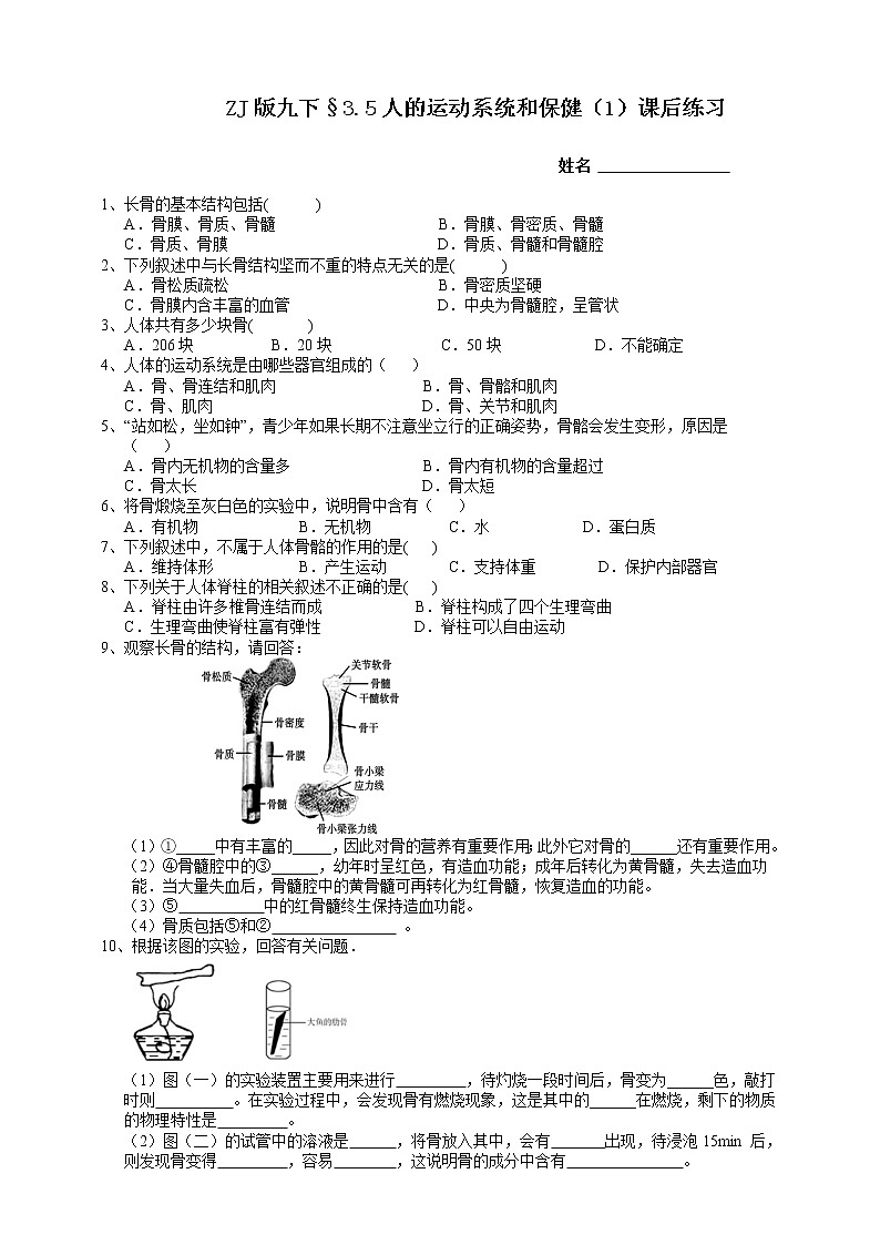 ZJ版九下科学3.5人的运动系统和保健 第1课时（课件+预习案+练习）01
