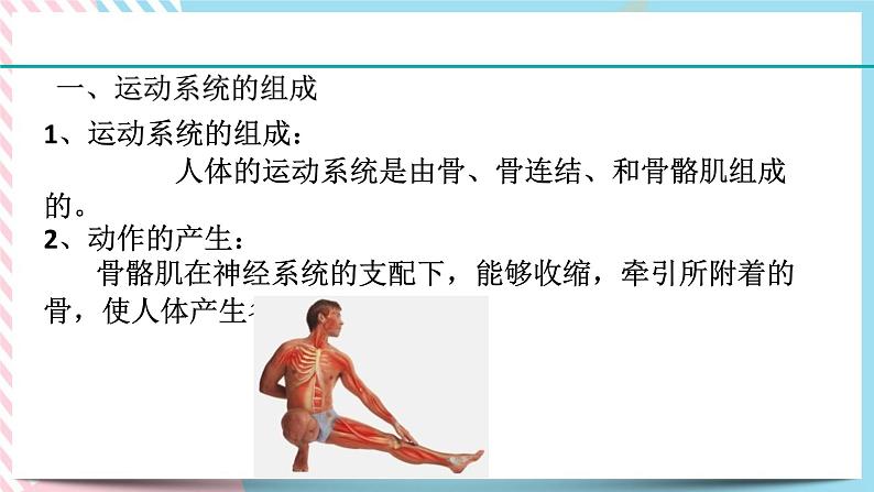 ZJ版九下科学3.5人的运动系统和保健 第1课时（课件+预习案+练习）02