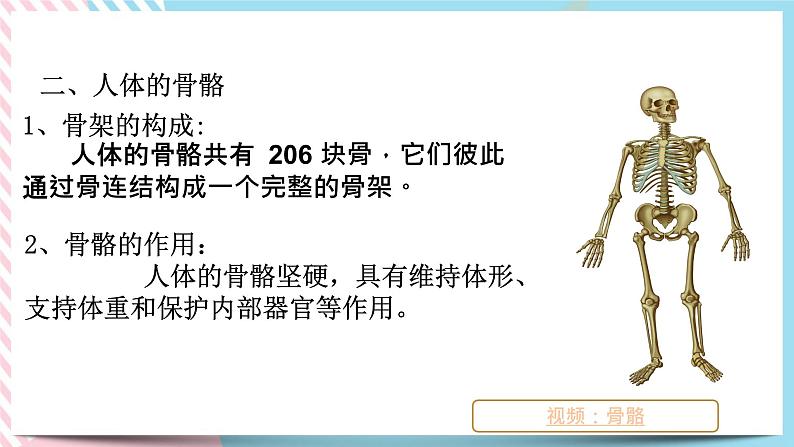 ZJ版九下科学3.5人的运动系统和保健 第1课时（课件+预习案+练习）03