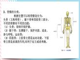 ZJ版九下科学3.5人的运动系统和保健 第1课时（课件+预习案+练习）