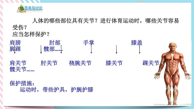 ZJ版九下科学3.5人的运动系统和保健 第2课时（课件+预习案+练习）07