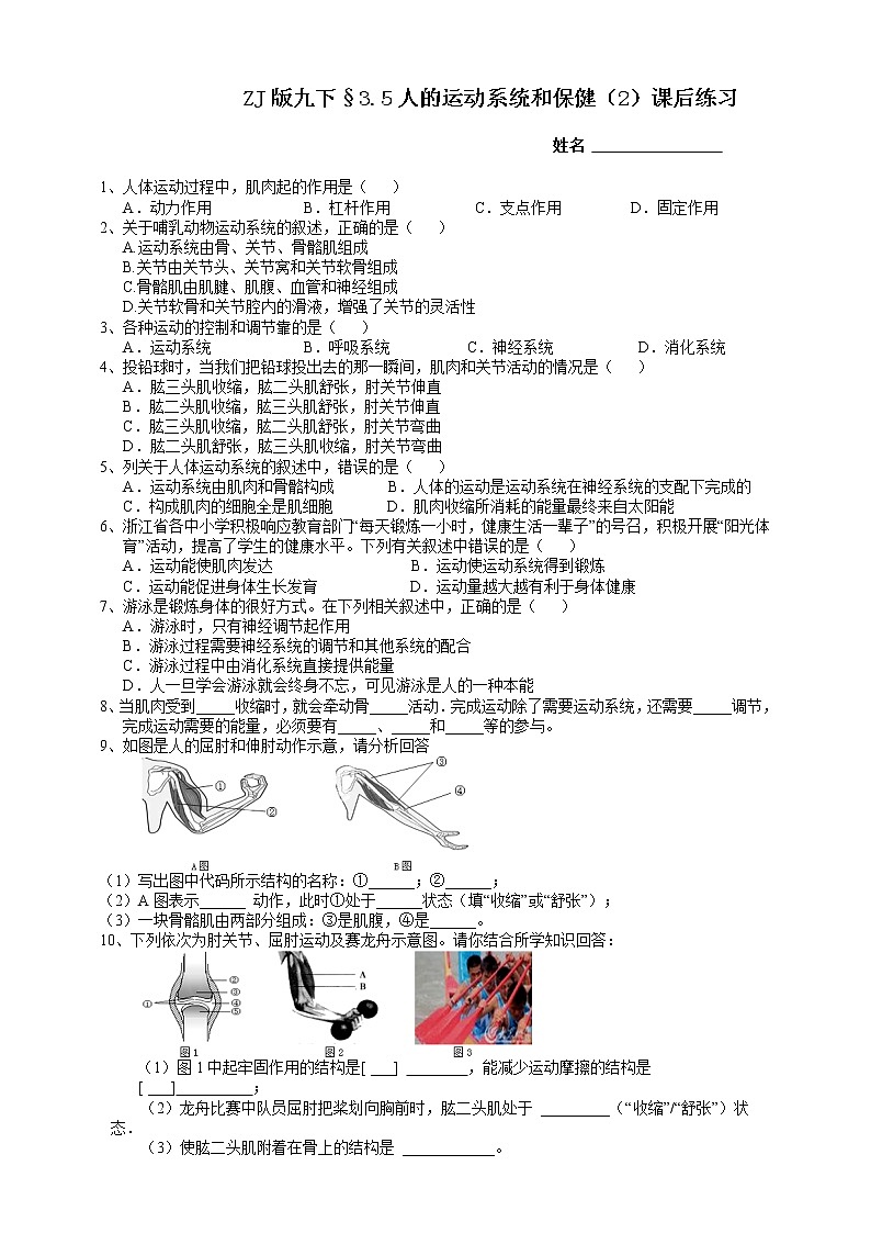 ZJ版九下科学3.5人的运动系统和保健 第2课时（课件+预习案+练习）01