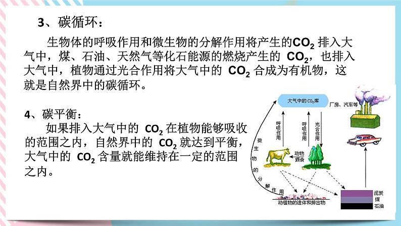 ZJ版九下科学4.3 低碳生活（课件+预习案+练习）04