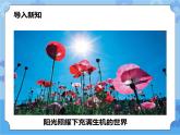 第三章第二节阳光的传播（课件+教案+练习）