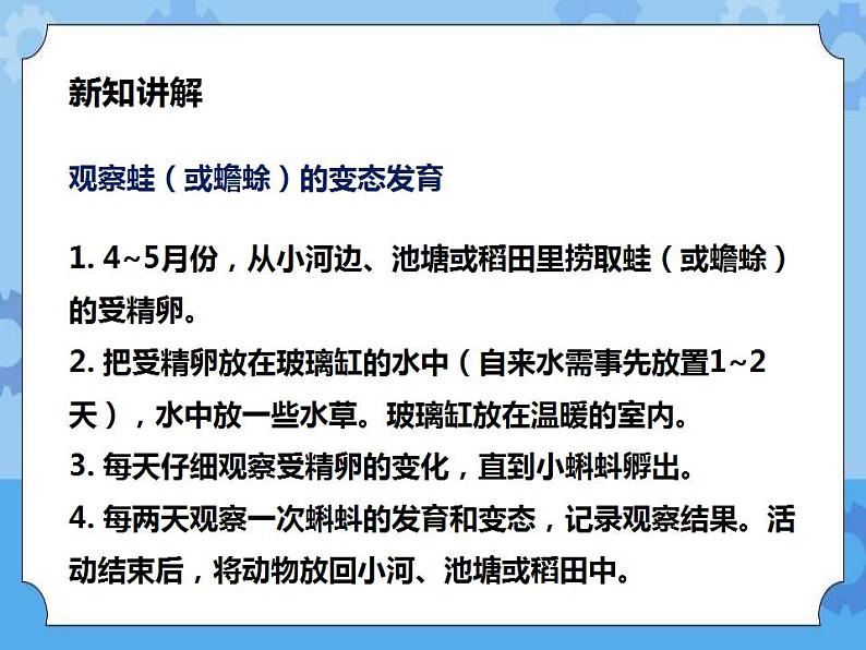 新华师七年级科学下册第六章第一节动物的生殖与发育第3课时 （课件）第3页