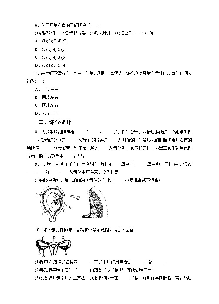 第六章第二节人的生殖与发育 第2课时（习题）第2页
