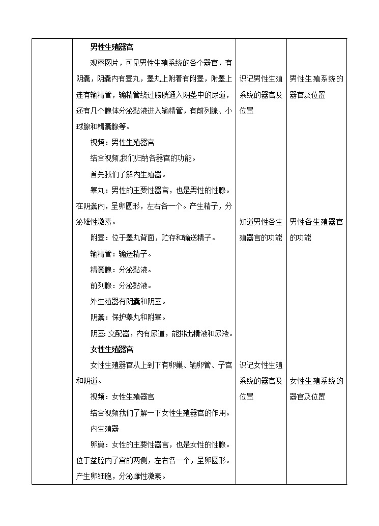 第六章第二节人的生殖与发育 第1课时（课件+教案+练习+视频）02