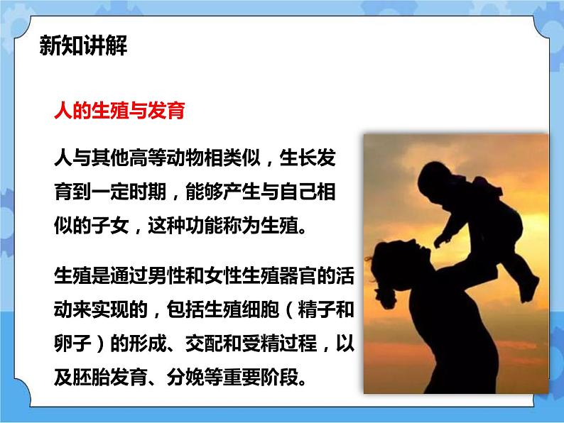 第六章第二节人的生殖与发育 第1课时（课件+教案+练习+视频）03
