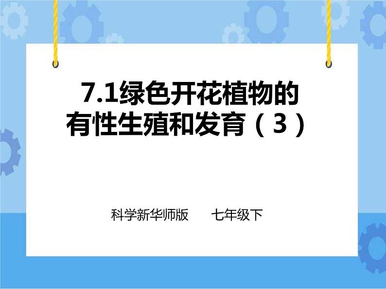 第七章第一节绿色开花植物的有性生殖和发育第3课时（课件+教案+练习+视频）01