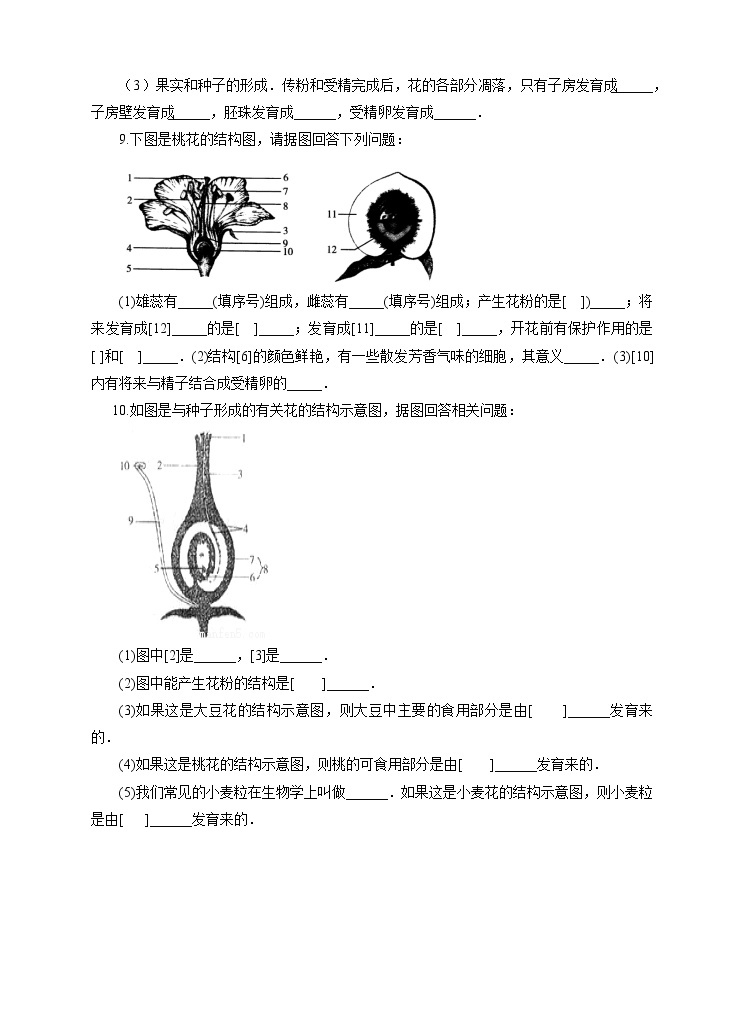 第七章第一节绿色开花植物的有性生殖和发育第3课时（课件+教案+练习+视频）02