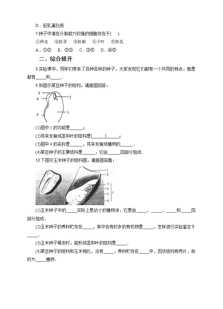 第七章第二节种子的萌发和幼苗形成 第1课时（课件+教案+练习+视频）02