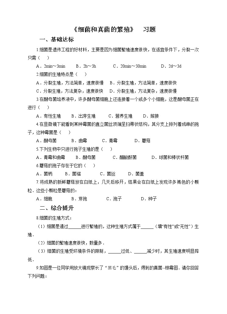 第七章第四节细菌和真菌的繁殖（课件+教案+练习+视频）01