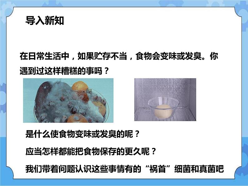 第七章第四节细菌和真菌的繁殖（课件+教案+练习+视频）02