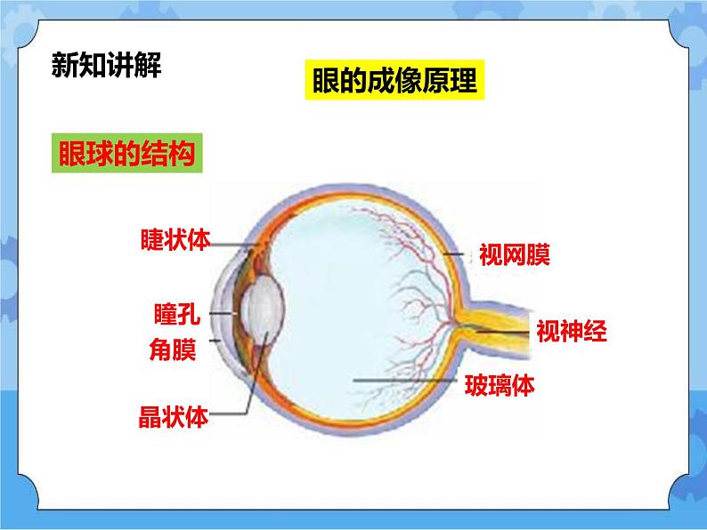 第2章第4节眼的成像原理 视力的矫正（课件+教案+练习+视频）03