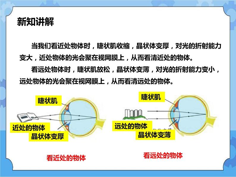 第2章第4节眼的成像原理 视力的矫正（课件+教案+练习+视频）08