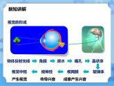 第3章第1节眼与视觉 第二课时（课件+教案+练习+视频）